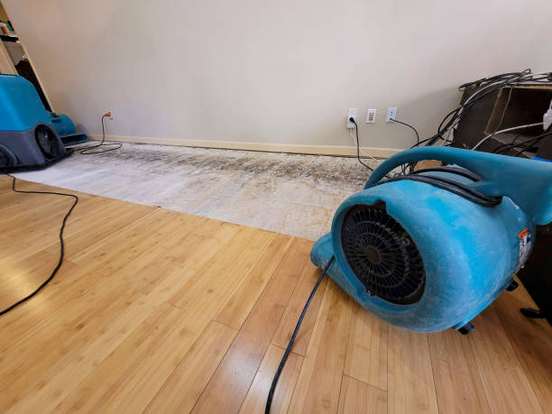 Professional Structural Drying technician working in Nocona, TX